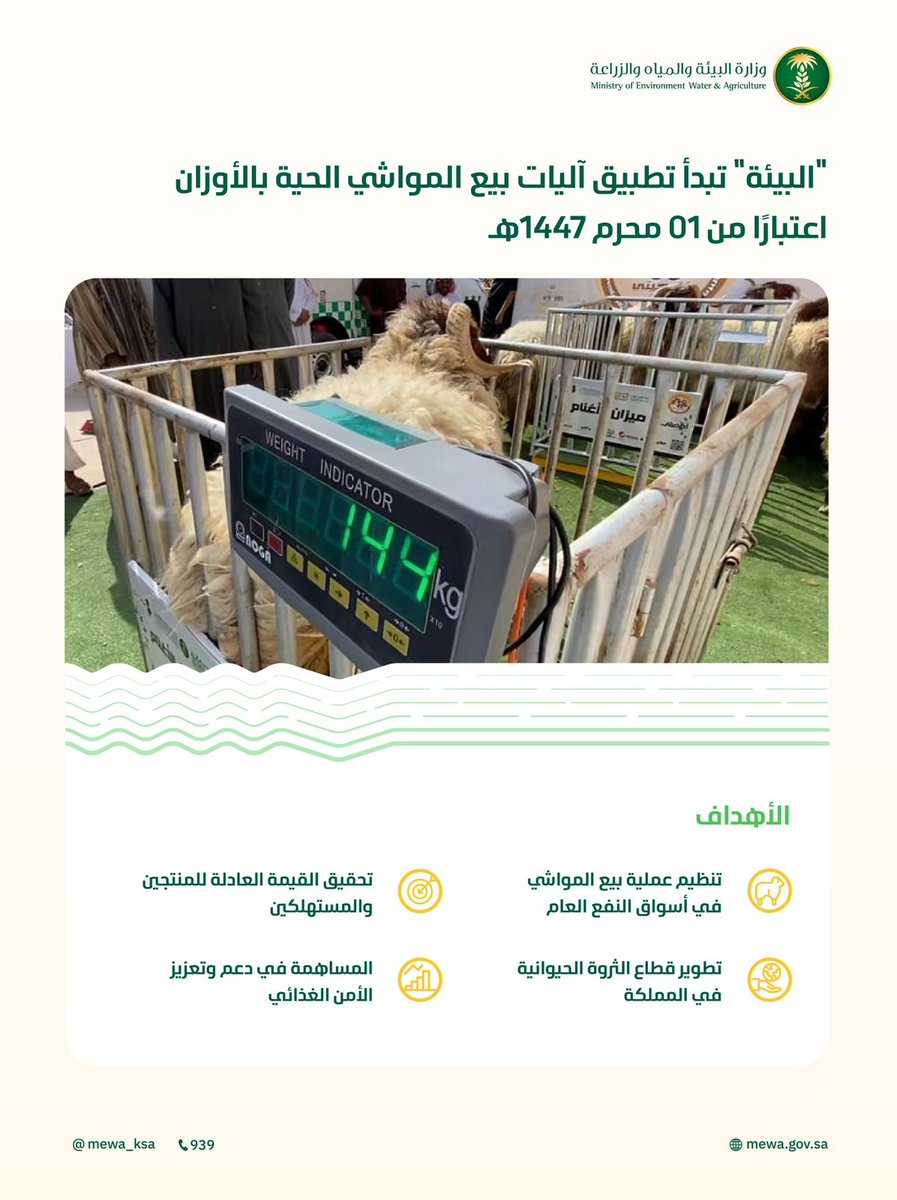 Zeyad_jehani's tweet photo. 🔴
وزارة البيئة والمياه والزراعة:

أعلنت الوزارة عن بدء تطبيق آليات بيع المواشي الحية بالوزن اعتباراً من 1 محرم 1447هـ، بهدف تنظيم عملية بيع المواشي في أسواق النفع العام. https://t.co/fbnkFdfUuW