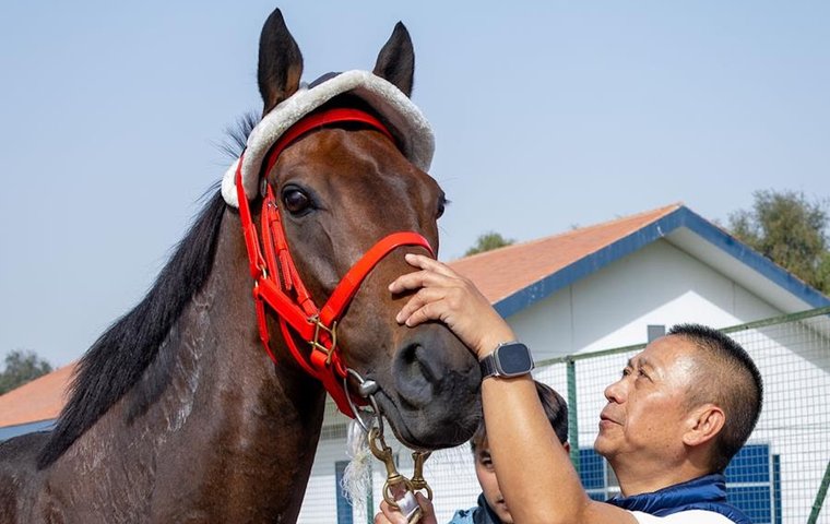 GLOBAL HORSES RANKINGS, sponsored by <a href="/Fitzdares/">FITZDARES</a>, JAN 19
1⃣🇭🇰Romantic Warrior
2⃣🇭🇰Ka Ying Rising ⬆️(#5)
3⃣🇮🇪Kyprios
4⃣🇦🇺Via Sistina
5⃣🇺🇸Thorpedo Anna
6⃣🇺🇸Fierceness
7⃣🇮🇪City Of Troy
8⃣🇭🇰Voyage Bubble ⬆️(#15)
9⃣🇬🇧Rebel's Romance
🔟🇬🇧Bluestocking

Full list: bit.ly/35hAv6C