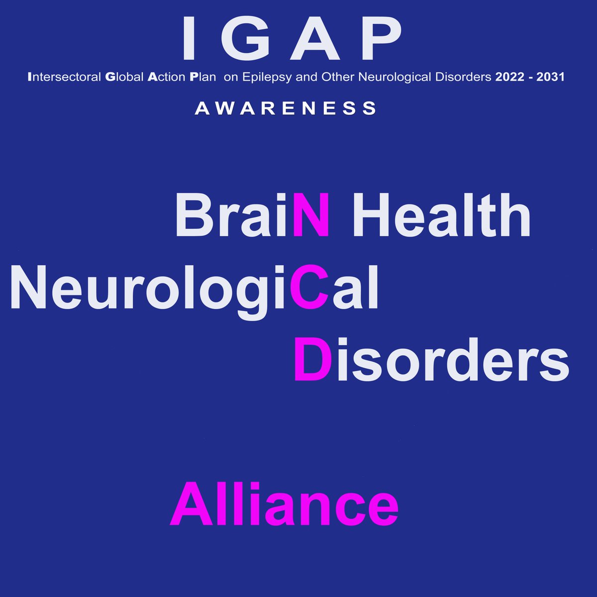 igap_awareness's tweet photo. @ncdalliance urges governments to tackle the burden of NCDs, Let us Advocate for the inclusion of neurological disorders. We need decisive action at the UN High-level Meeting on NCDs (Sept 2025) https://t.co/Ygtr5fWeSu #BrainHealth #Neurology #NCDs #ActOnNCDs   #LeadOnNCDs #IGAP https://t.co/cMzuBAcN15