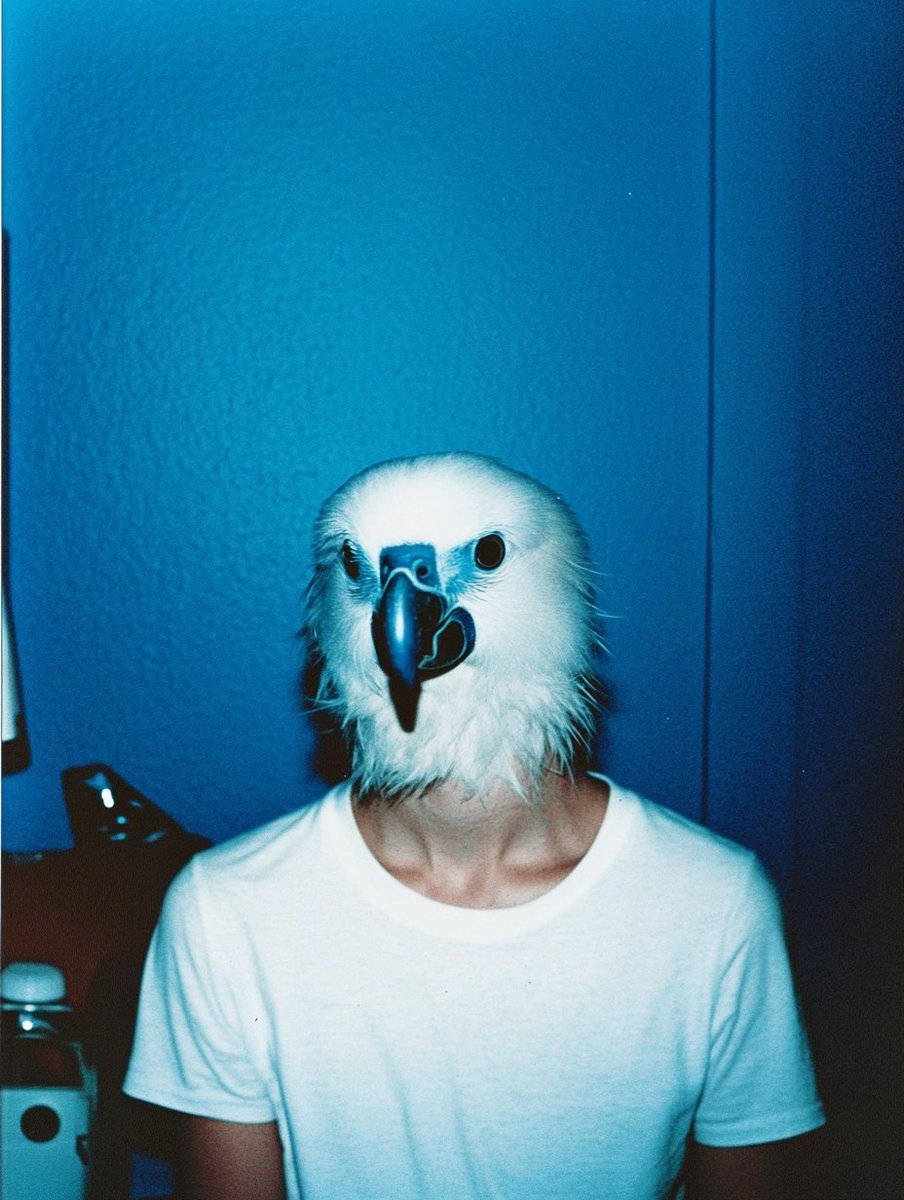 Community (Twitter) image 1