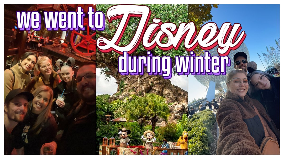 Angelica Nyqvist tweet media