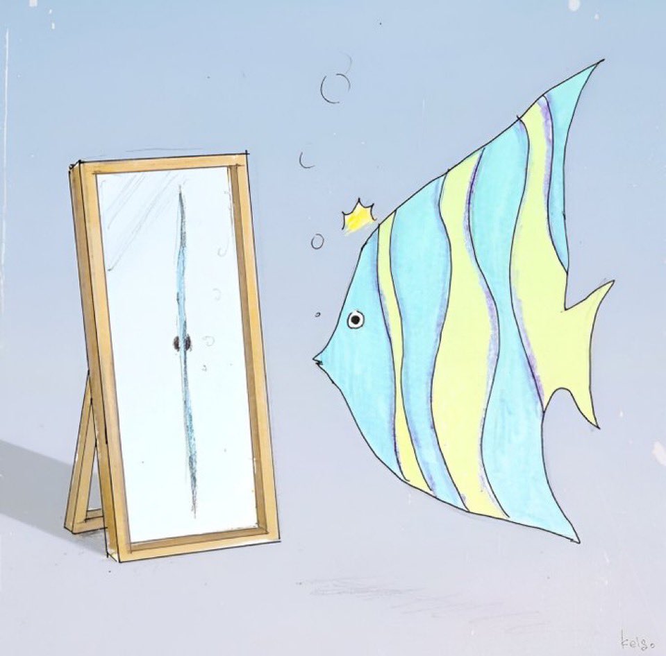 freecSalah's tweet photo. Tu es bien meilleur que ce que tu vois dans le miroir #ambition #lachepas 😟💪 https://t.co/ZwGGM8qVXK