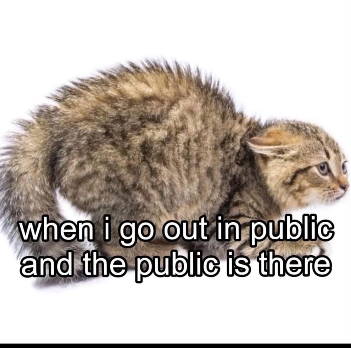 ADHD Memes (@adhdforreal) on Twitter photo 