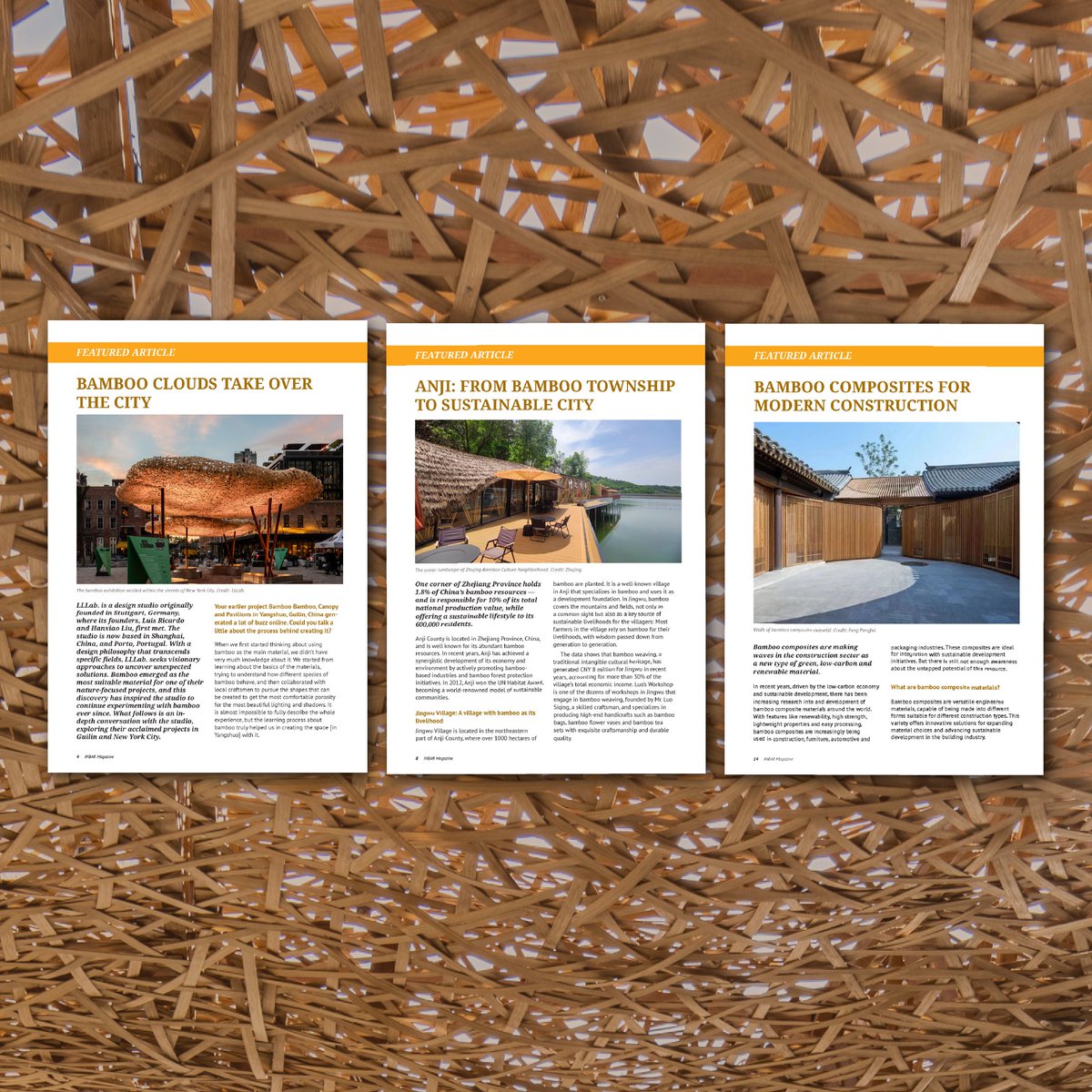 Which has been your favorite article from Bamboo and Rattan Update?

1. Bamboo clouds take over the city 🌤️ 
2. Anji: From #bamboo township to sustainable city 🎋
3. Bamboo composites for modern construction 👷‍♀️

👇
inbar.int/resources/inba…
Let us know in the comments!