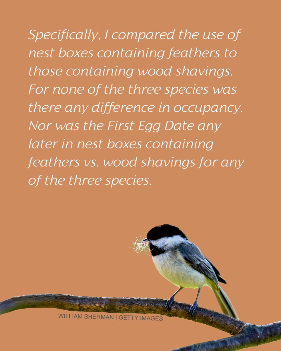 Association of Field Ornithologists tweet media