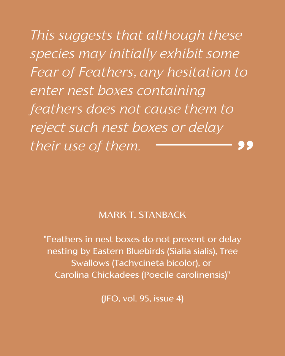 Association of Field Ornithologists tweet media