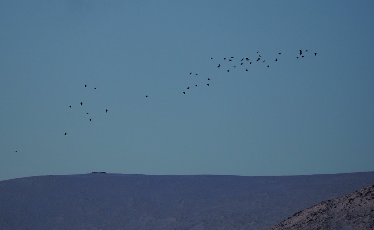 AdrianPlumb tweet media