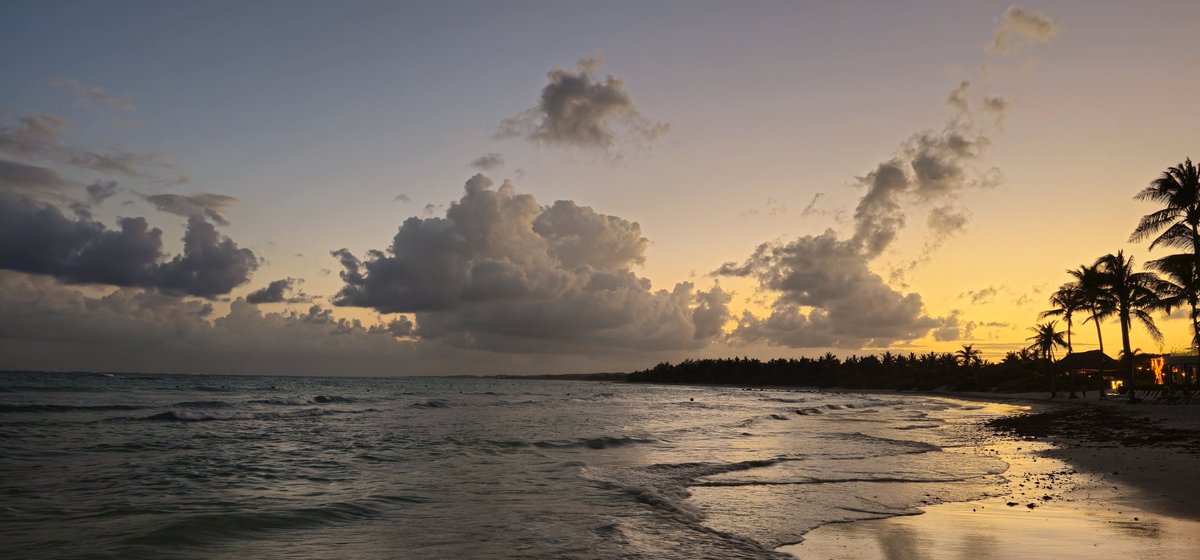 Rodolfo Nava tweet media