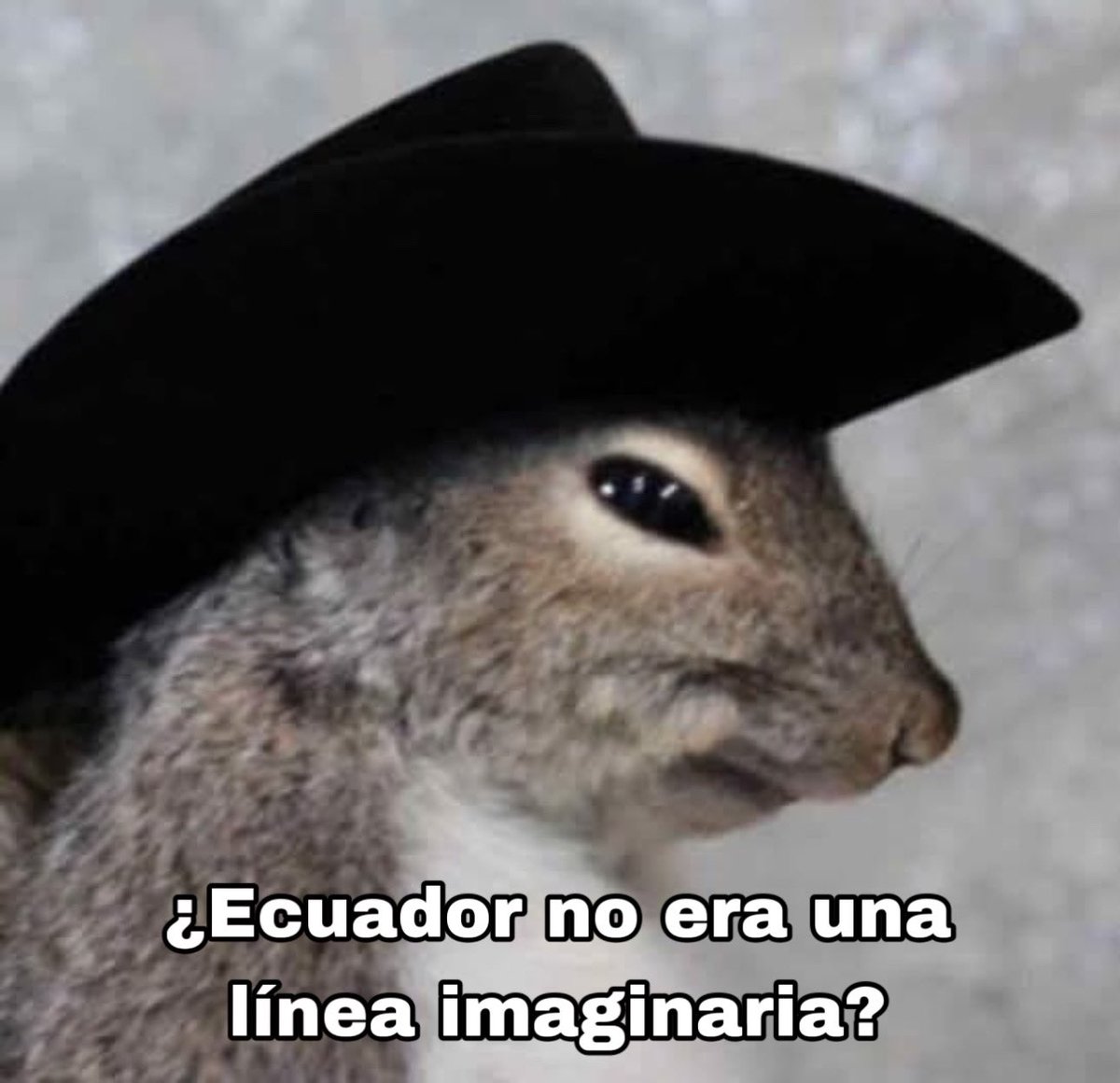 HistoriaParaTontos tweet media