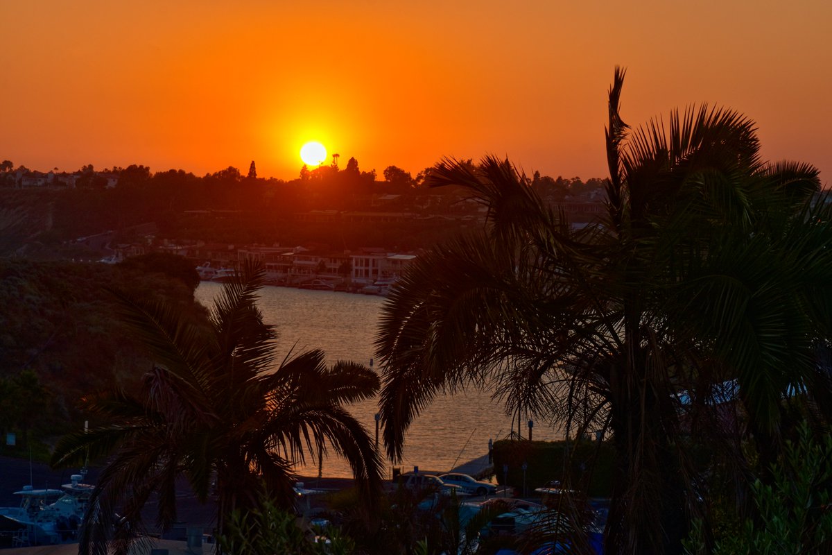 Subaru Summer Concert Series tweet media