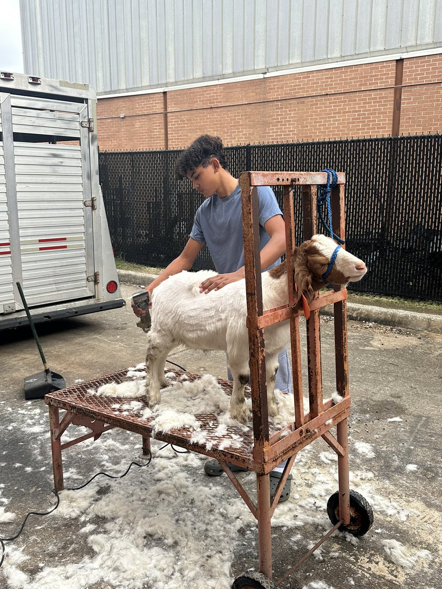 Hands on learning in Ag class today! <a href="/SpringISD_CTE/">SpringISD_CTE</a> <a href="/SPRINGHIGHLIONS/">Spring High School</a> #WeAreSpring
