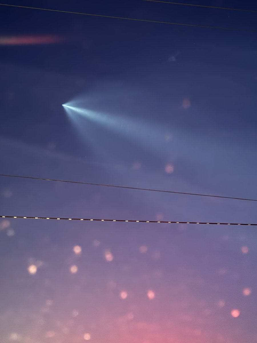 Lynn Minges tweet media