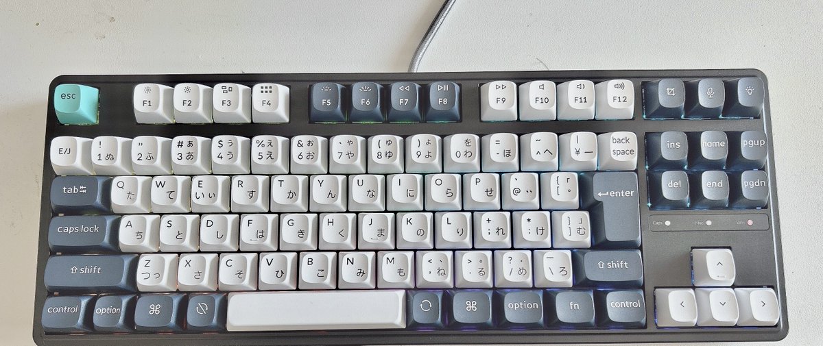 Hylen / 宇佐美祐二 tweet media