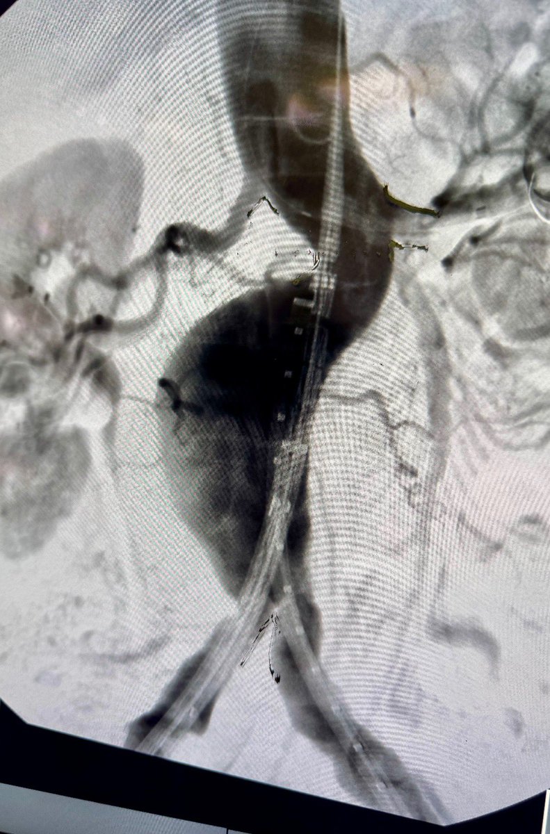 Jonathan Iglesias, MD tweet media