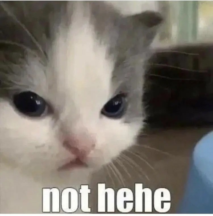 Shinjanobi tweet media