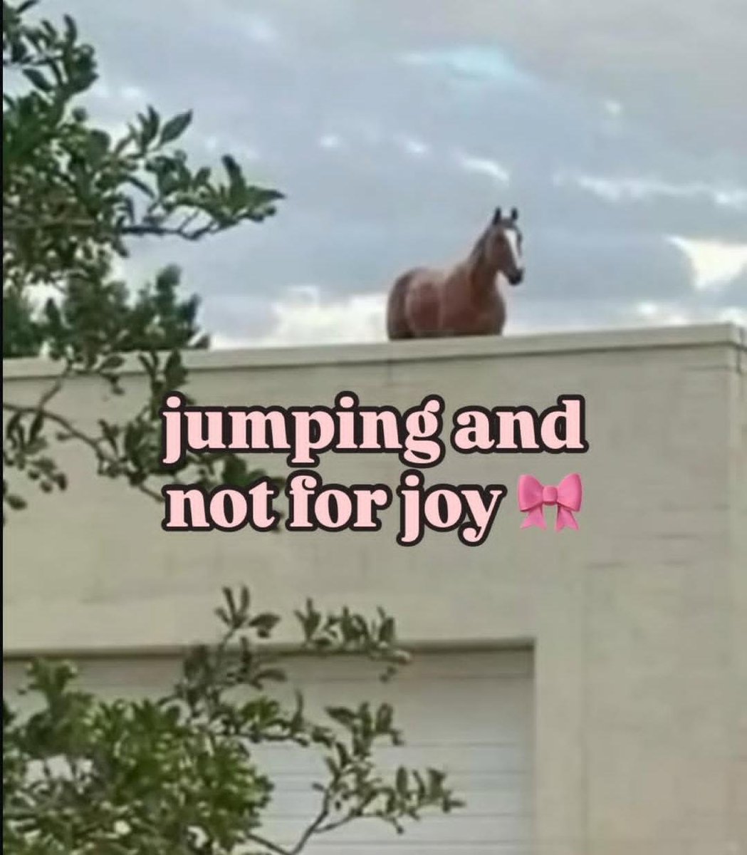 J_Undead's tweet image. I should've known better than to build a pc with a recent CPU