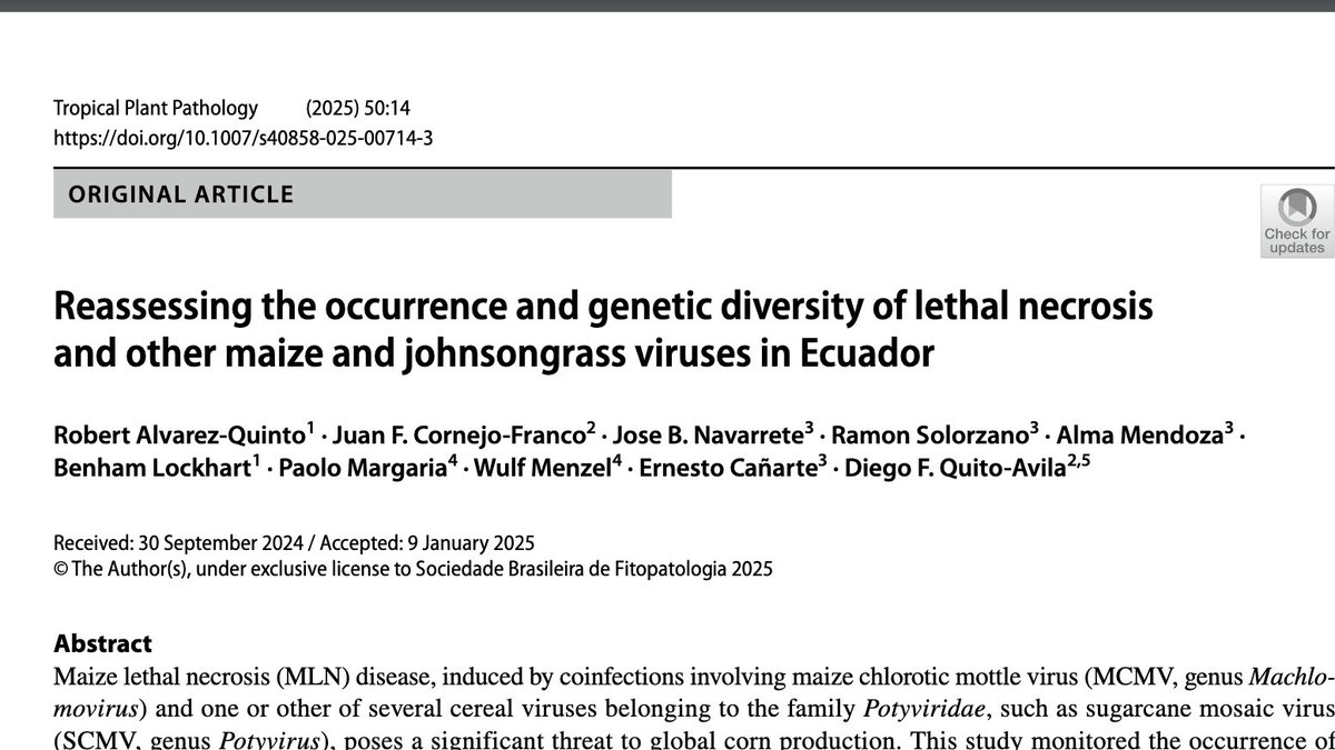 JBernard's tweet photo. My latest research on corn virus has just been published with @SpringerNature in  Tropical Plant Pathology  journal. Read here: https://t.co/zlDMuHpNZ7
#SCMV #MCMV #CORN #VIRUS #PORTOVIEJO #ECUADOR #INIAP https://t.co/LYCAfggc8W