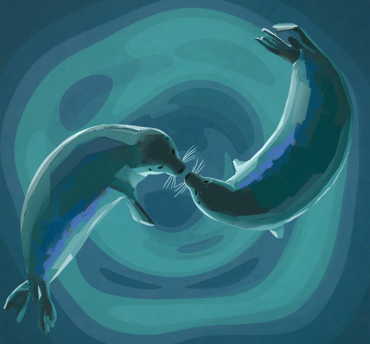 fat_nerpa's tweet image. Love you in every universe 💙