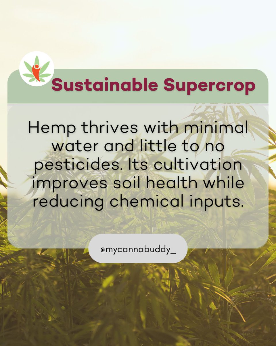One plant. Infinite potential. From ancient civilizations to today’s wellness routines, hemp is changing the game.

Celebrate with us &amp; stock up on your favorites! 💚 #NationalHempDay #HempForTheFuture