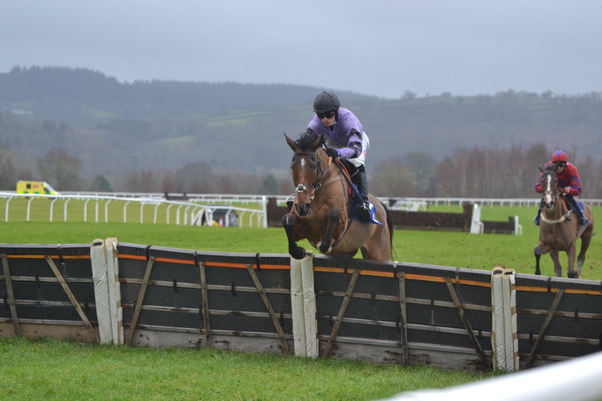 ownersgroupuk's tweet photo. Go West staring right down the camera on the first circuit when leading the field, and at the last when well clear before winning today. Class. #gowest #ownersgroup #pillartopost https://t.co/f0B21iNrqU
