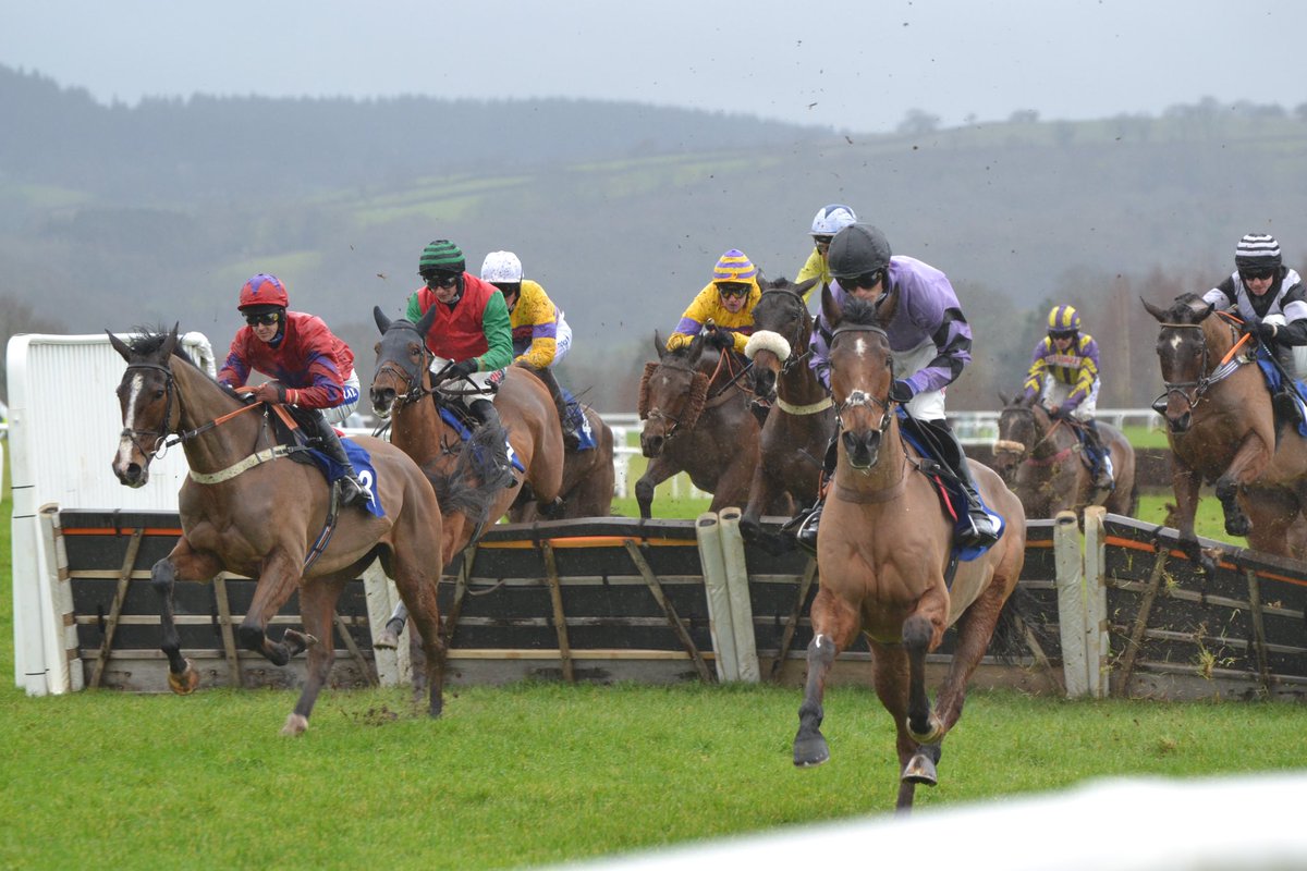 ownersgroupuk's tweet photo. Go West staring right down the camera on the first circuit when leading the field, and at the last when well clear before winning today. Class. #gowest #ownersgroup #pillartopost https://t.co/f0B21iNrqU