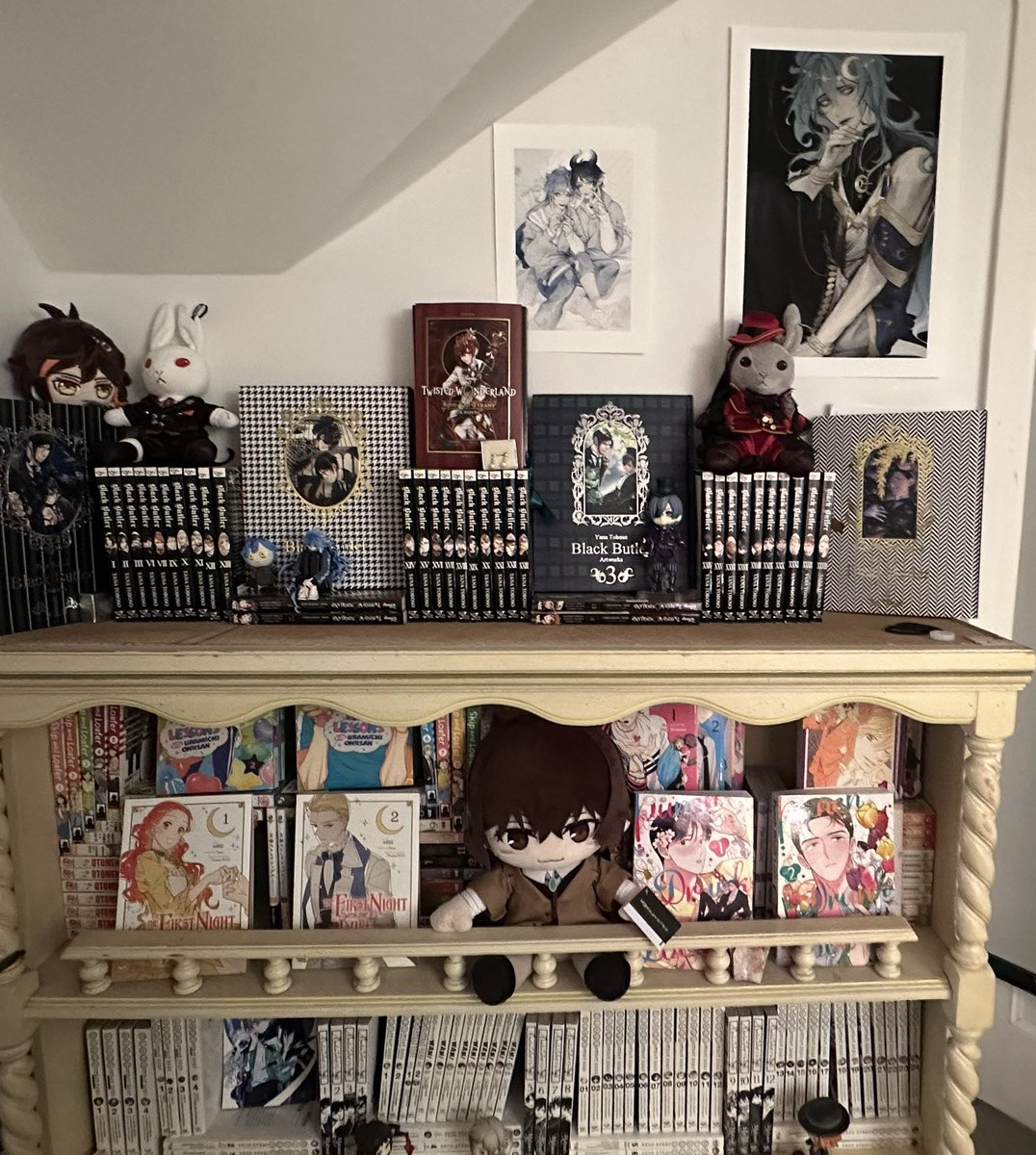 oop_sandra's tweet image. REDID MY SHELF.