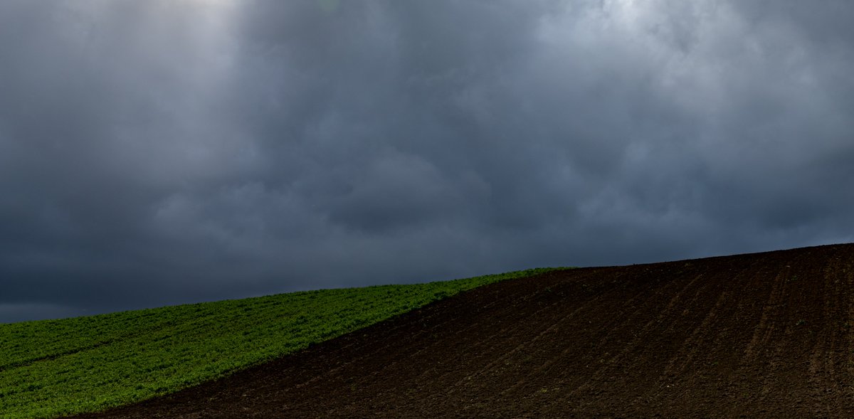 matteod77147188's tweet photo. The Grey, the Green, the Brown
#NaturePhotography #MoodyGram #DramaticLandscape #CalmBeforeTheStorm #NaturalContrast #TextureLovers #FineArtLandscape #CloudySkies #NatureIsArt #ScenicViews https://t.co/qiBVk6y1KB