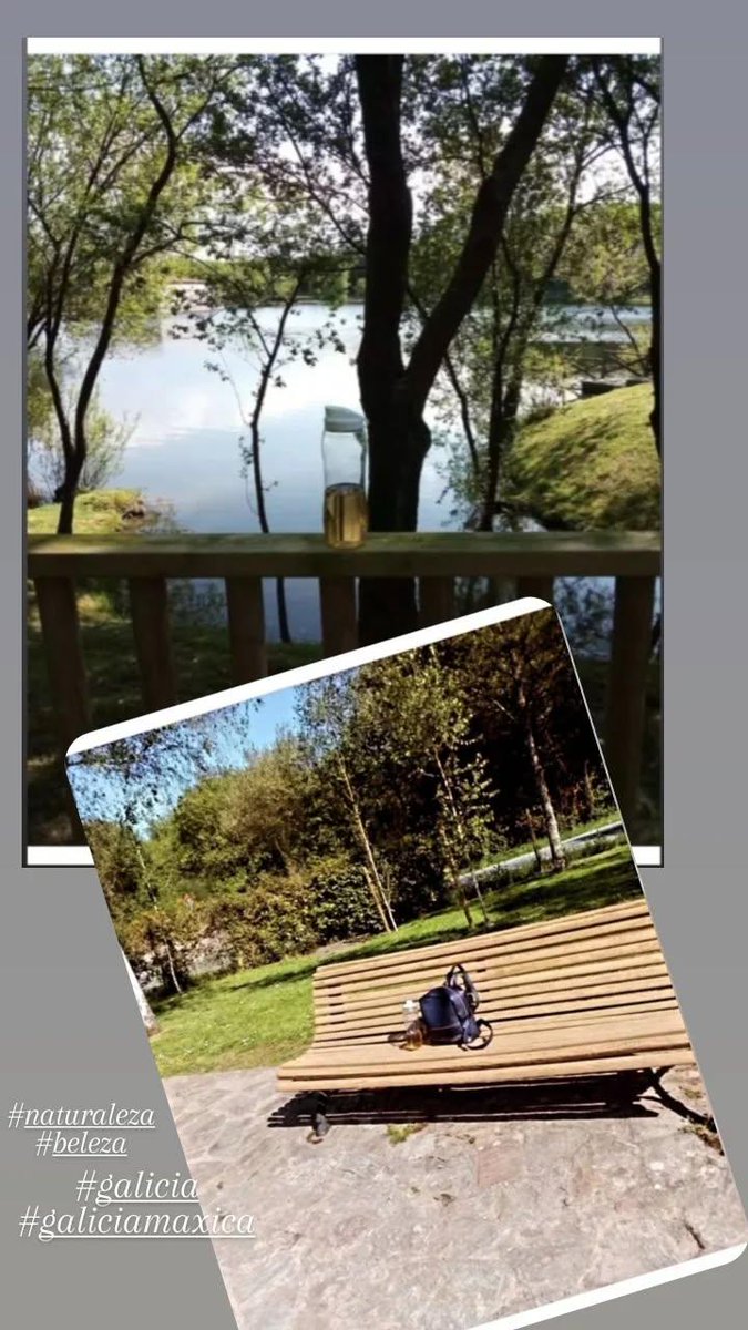 xeleza_a's tweet image. •|•🍃#simplelife #simpleisbeautiful
#momentosfavoritos #NatureLover
#NaturePhotographyDay 
#PeaceAndLove🕊️ •|•