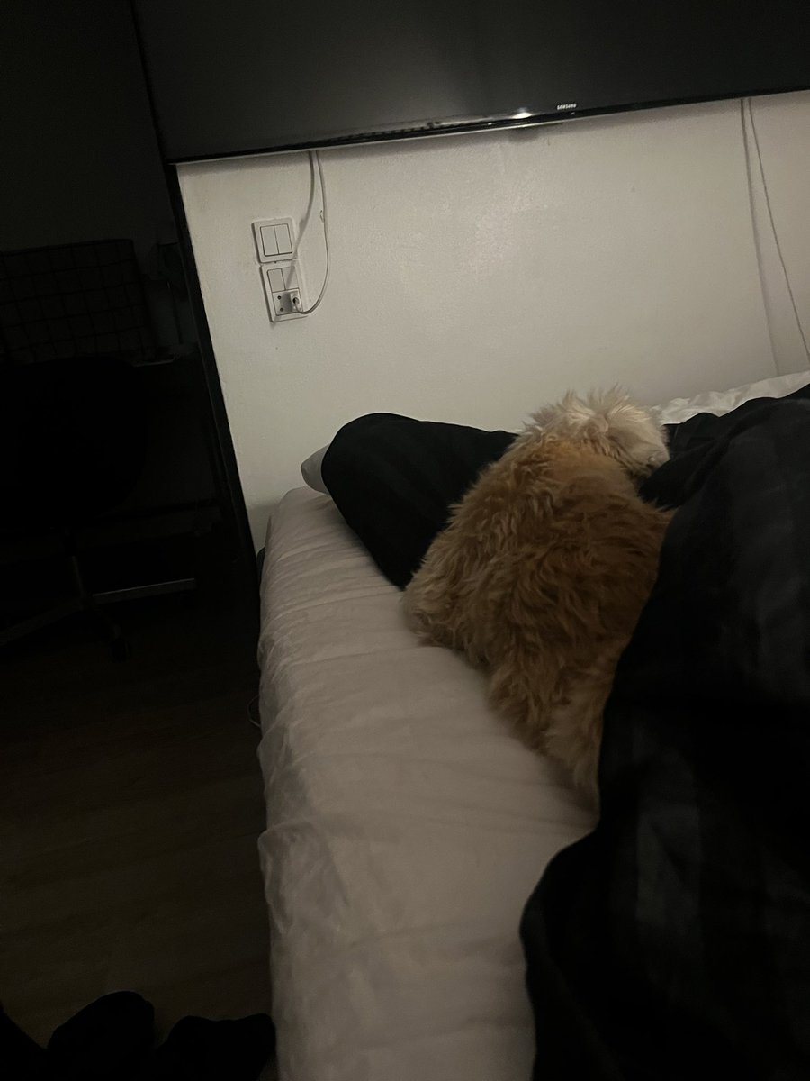 Morten Schoubye tweet media