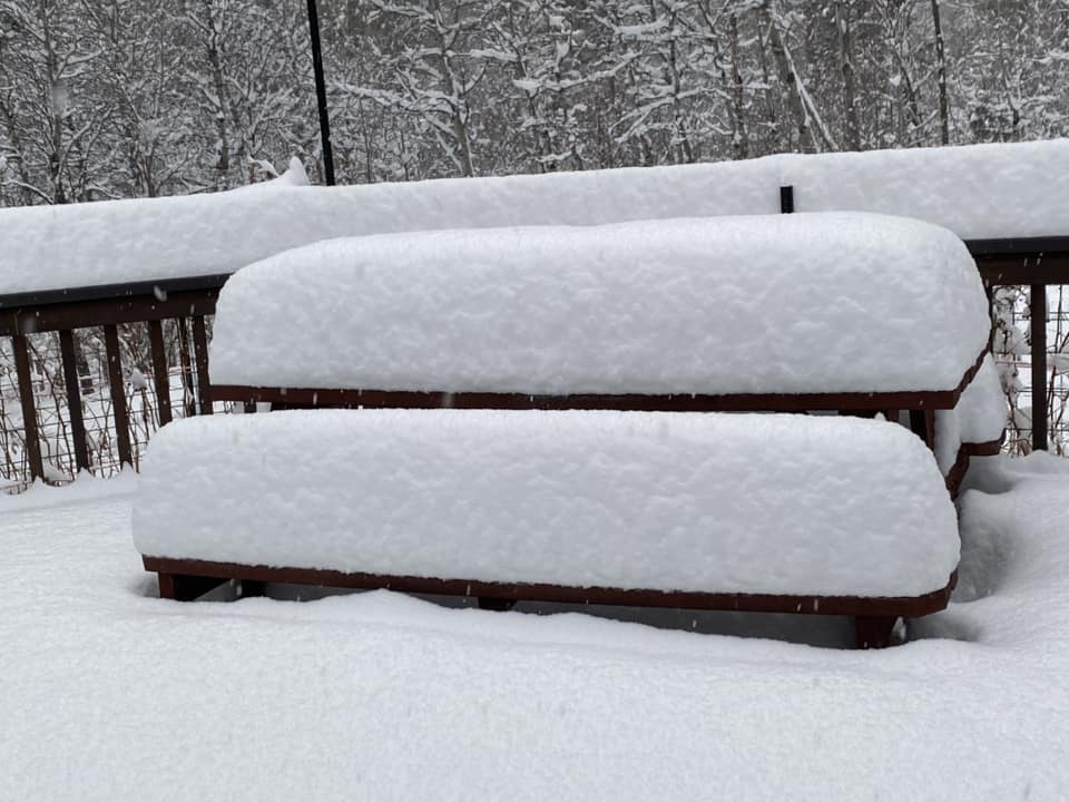 LewisDortch's tweet photo. Check out the snow that has fallen (and continues to fall) up Lost Horse in the Bitterroot!
📷 Becky Karnow-Hawkins https://t.co/f3zYExyP3t