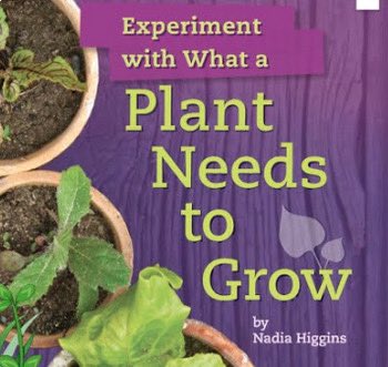 Miss B. Pena, M.Ed. tweet media