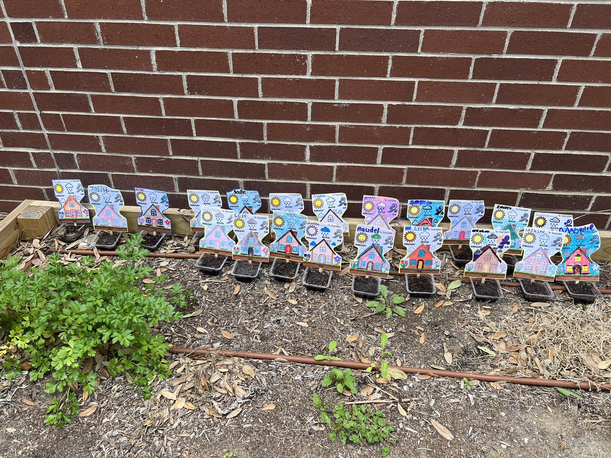 Miss B. Pena, M.Ed. tweet media