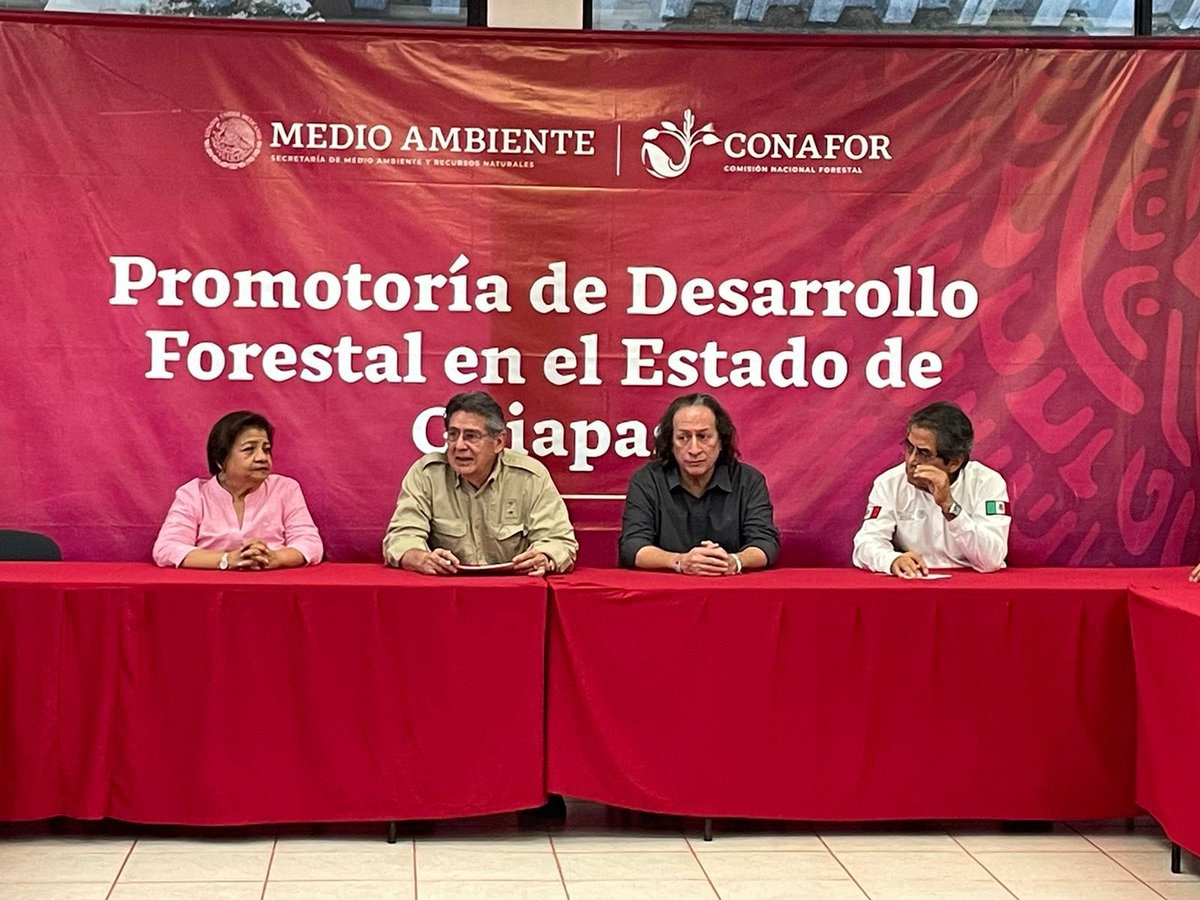 Asumo con orgullo el cargo de Promotor de Desarrollo Forestal en Chiapas dentro de la <a href="/CONAFOR/">CONAFOR</a>. Agradezco la confianza de la Lic. Alma Guadalupe Godoy Ramos y el acompañamiento de Antonio Santos, representante de la presidenta <a href="/Claudiashein/">Claudia Sheinbaum Pardo</a>.