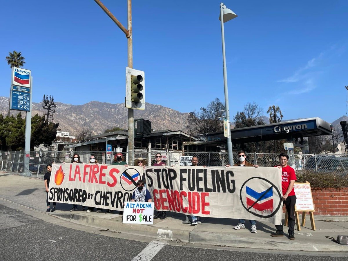 DSA International Committee tweet media