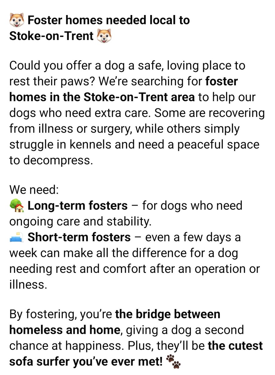 Senior Staffy Club Dog Rescue tweet media