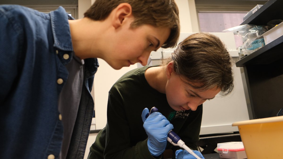 MSU Plant Resilience Institute @msupri.bsky.social (@msu_pri) on Twitter photo In a collaborative PRI Seed Grant project, two MSU #plantbiology graduate students have teamed up to investigate how plants’ natural defense mechanisms can be leveraged to help improve crop resilience. Read the full Q&A story: plantbiology.natsci.msu.edu/posts/012025_m… In a collaborative PRI Seed Grant project, two MSU #plantbiology graduate students have teamed up to investigate how plants’ natural defense mechanisms can be leveraged to help improve crop resilience. Read the full Q&A story: plantbiology.natsci.msu.edu/posts/012025_m…