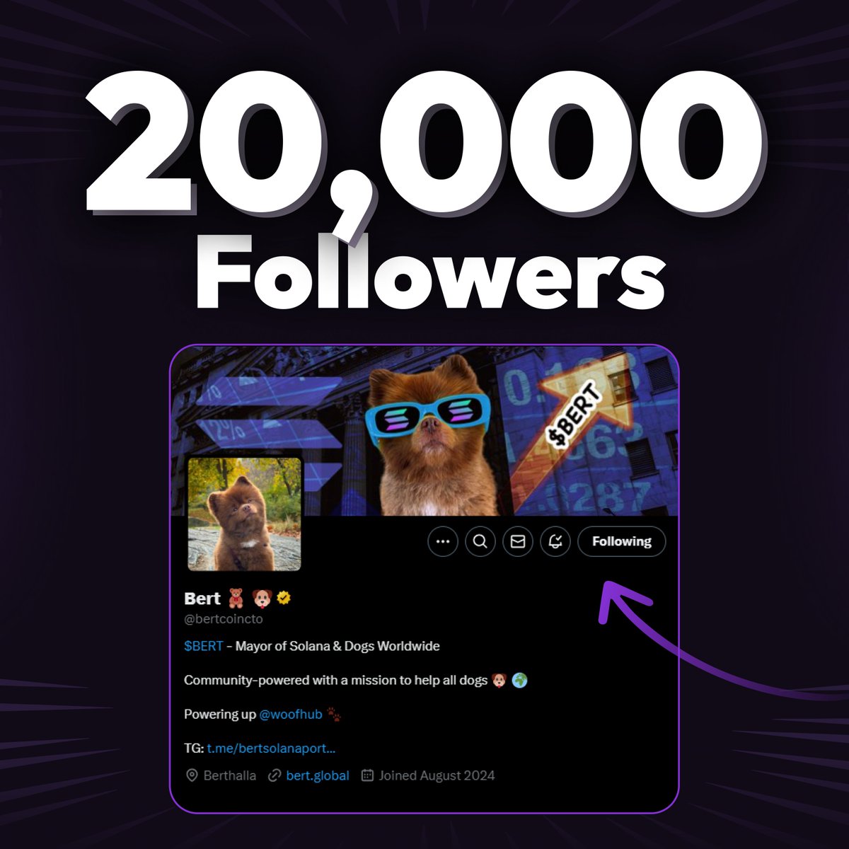 20,000+ dreamers, builders, and bertlievers. 

The $BERT community is unstoppable!