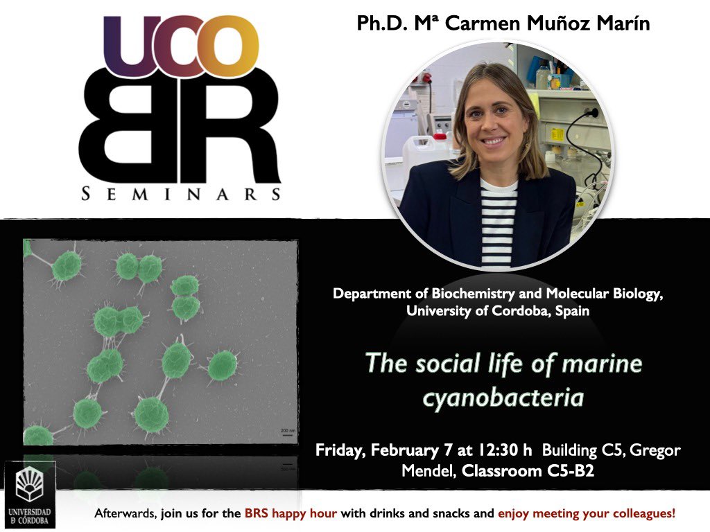 UCO-BRSeminars (@ucobrseminars) on Twitter photo 🟢 We are back! This Friday we will hear more about the social life of marine Cyanobacteria🔝 from Dr. Muñoz-Marin 🦠 Join us at 12.30 and later happy hour 🍻‼️ <a href="/Ciencia_Divulga/">Mari Muñoz Marin</a> <a href="/SaraZaldivarVet/">Sara Zaldívar 👩🏾🔬👩🏾💻🧬🦠</a> <a href="/TinaDomnguez/">Tina DM #SinCienciaNOhayFuturo 👩🏻🔬🧬</a> <a href="/esanzluque/">Emanuel Sanz Luque</a> <a href="/elisaanguloe/">Elisa Angulo</a> 🟢 We are back! This Friday we will hear more about the social life of marine Cyanobacteria🔝 from Dr. Muñoz-Marin 🦠 Join us at 12.30 and later happy hour 🍻‼️ <a href="/Ciencia_Divulga/">Mari Muñoz Marin</a> <a href="/SaraZaldivarVet/">Sara Zaldívar 👩🏾🔬👩🏾💻🧬🦠</a> <a href="/TinaDomnguez/">Tina DM #SinCienciaNOhayFuturo 👩🏻🔬🧬</a> <a href="/esanzluque/">Emanuel Sanz Luque</a> <a href="/elisaanguloe/">Elisa Angulo</a>