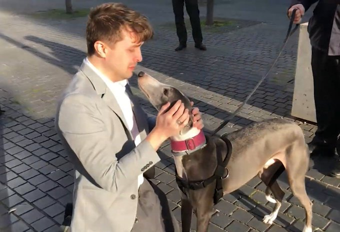 Este verdaderamente fue un momento horrible y traumático, y al mismo deseado y demasiado bonito haberle visto de nuevo.

Después de años y años sin verle por habérmelo robado, poder verlo apenas un minuto para que luego me lo volvieran a quitar, fue una de las cosas más tristes