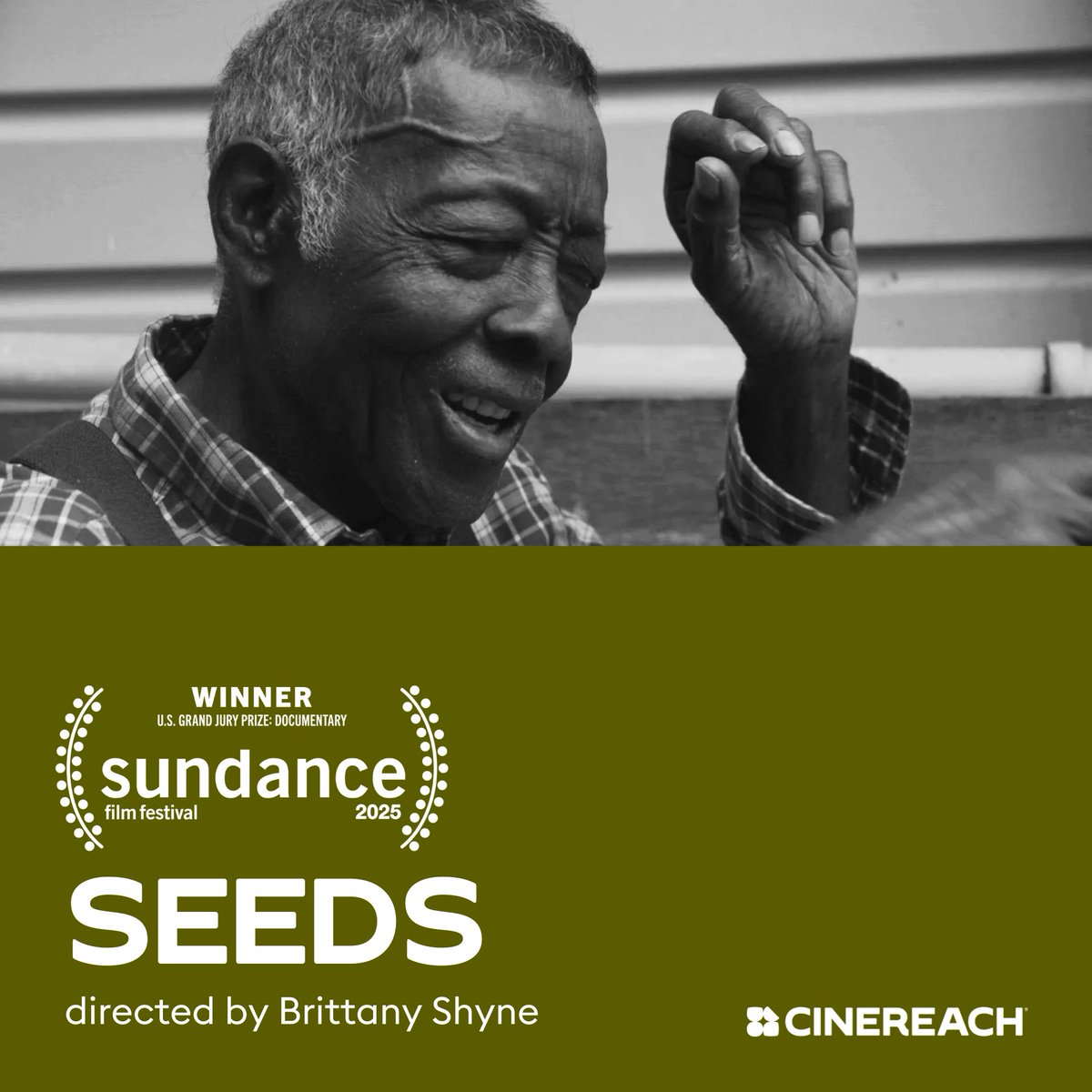 Cinereach tweet media