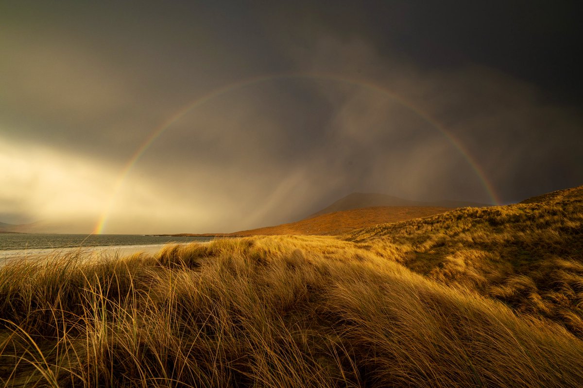 Nigel Danson tweet media