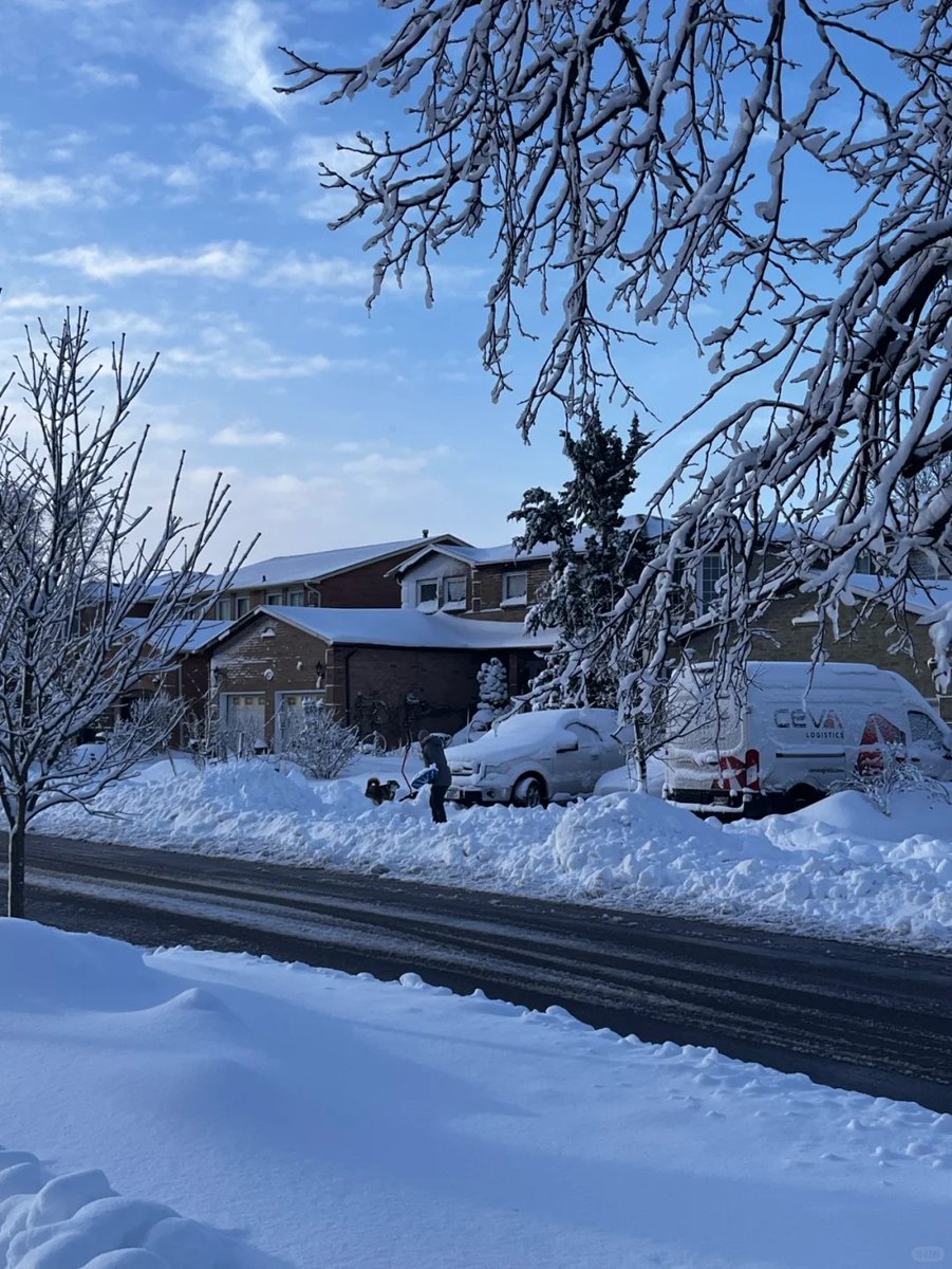 gyufjtyk's tweet image. 🖼 Every shot tells a tale