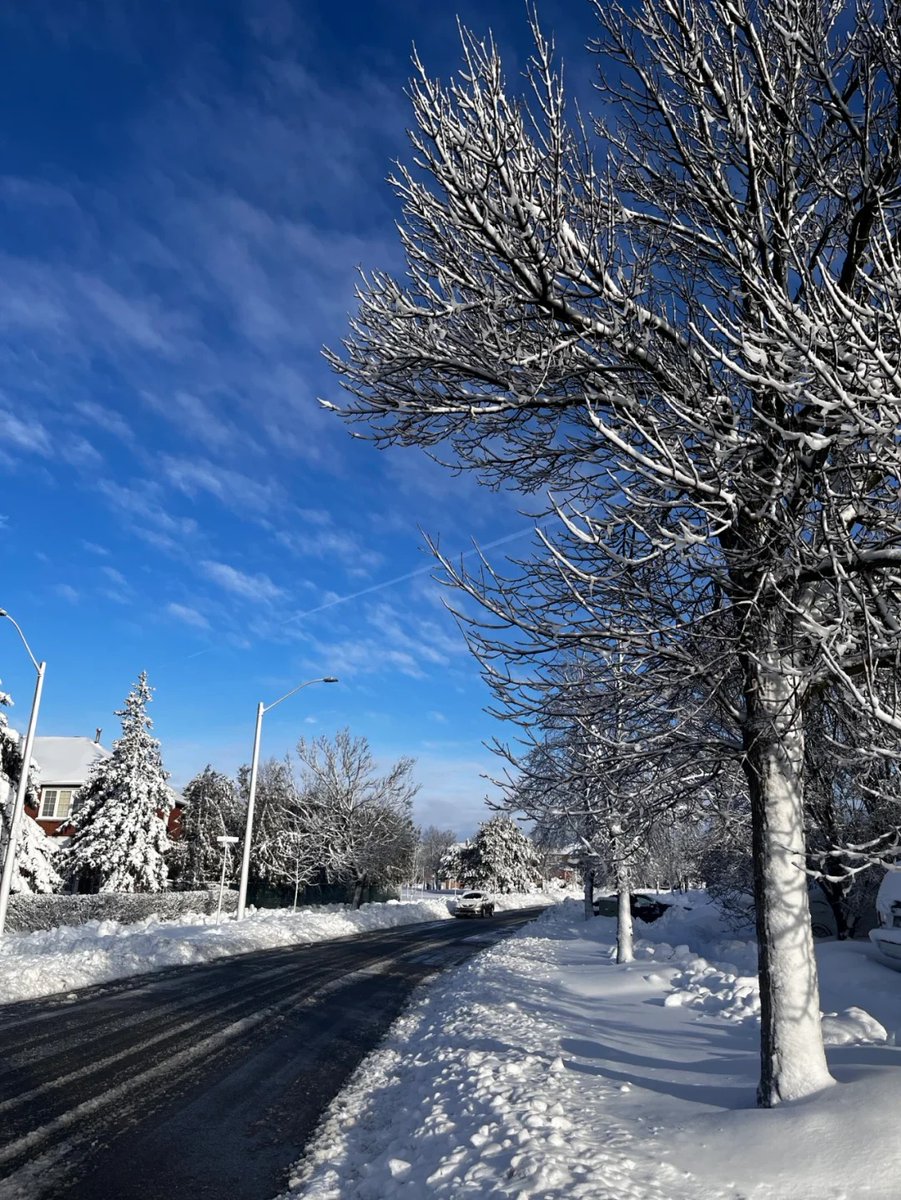 gyufjtyk's tweet image. 🖼 Every shot tells a tale