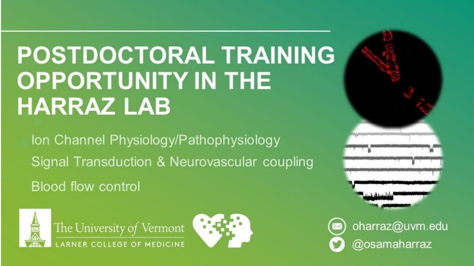 Microcirculatory Society tweet media