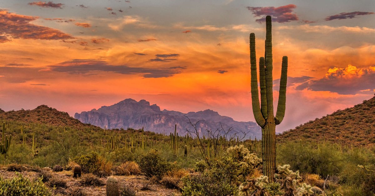 RebeccaHidalgo's tweet photo. 🌵✨Thinking about retiring in Arizona but want to avoid the hustle and bustle? Check out these 14 charming towns that realtors are buzzing about as the next big retirement hotspots!🏡🌞

👉https://t.co/woMfJBa4CP https://t.co/IOfjydbuzb