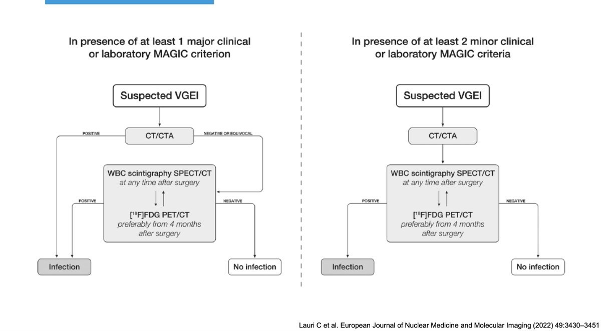 TakaMatsuo_ID's tweet photo. Vascular Graft Infection – Infectious Diseases Perspective

#KeyClinicalPearls Dr. Maryam Mahmood

✍️Important to understand the definition, classification, micro, and management!
✍️MAGIC criteria!

#MayoClinicIDUpdates2025 @MayoClinicINFD @MayoClinicAZID #IDMedEd #IDFellow https://t.co/ch66jFCE5Z