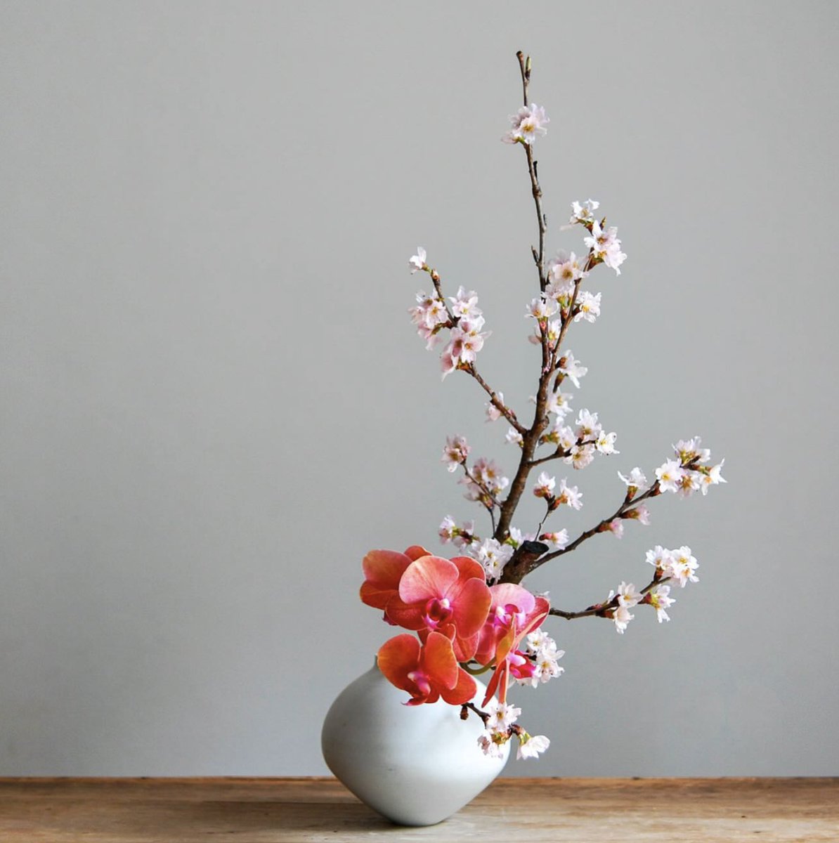MichaelWalczyk's tweet photo. toru watarai ikebana https://t.co/du0EyrdQ8G https://t.co/J7RKf1usGO
