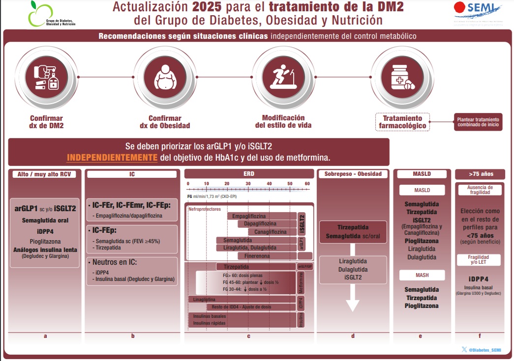 FAPsGal's tweet photo. Actualización 2⃣0⃣2⃣5⃣ para el tratamiento #DMtipo2 del Grupo de Diabetes, Obesidad y Nutrición de SEMI @Sociedad_SEMI
🔗https://t.co/7W9mRBTohg https://t.co/teHO6GBhKl