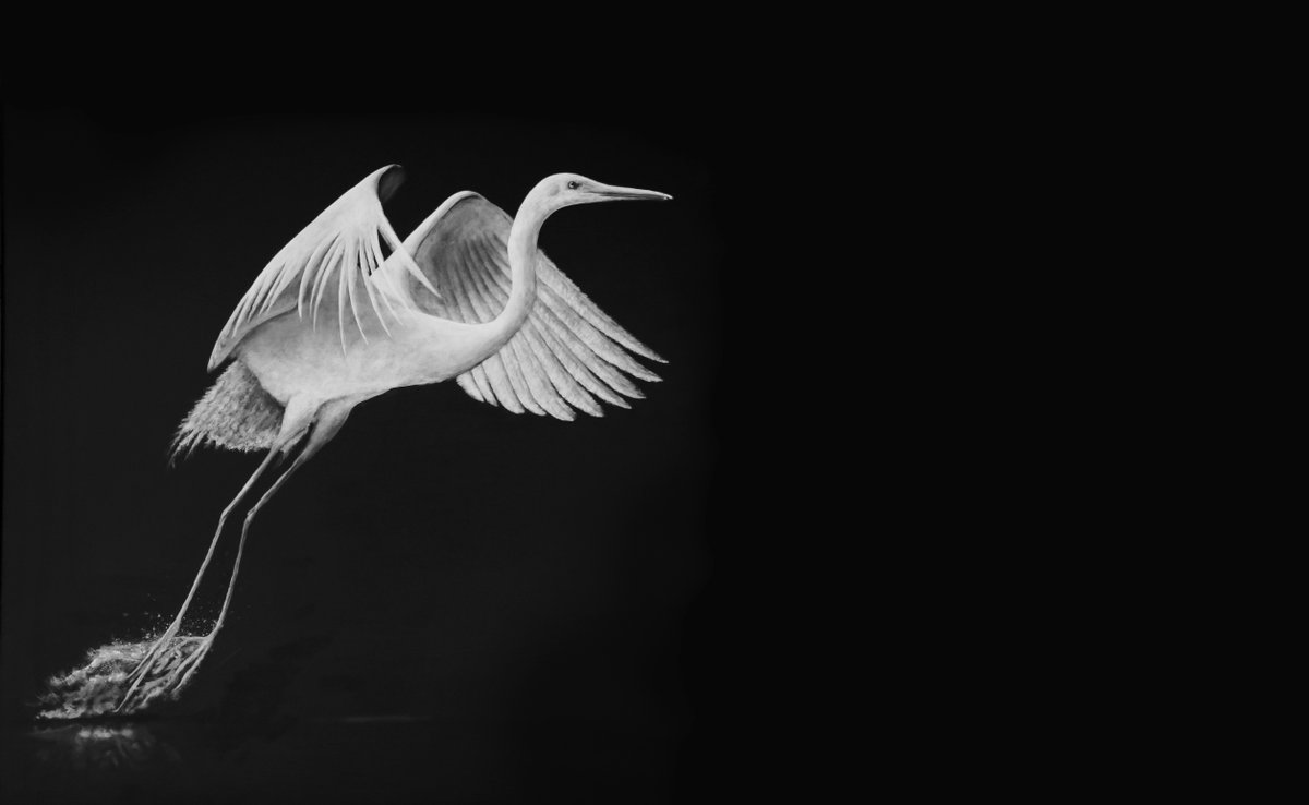 ianckabat's tweet photo. 🆕 Flight of the Crane is here! A beautiful new print, meticulously created with archival inks and high-quality paper. Enhance your space today! Check it out at https://t.co/T14ocPckUr. #Art #HomeDecor #NewPrint https://t.co/ooP6ah8d5f