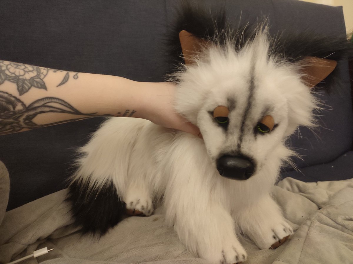 Robin | ➡️ BSKY tweet media